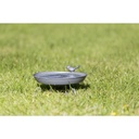 Bird Bath/Water Dish for Placement-4