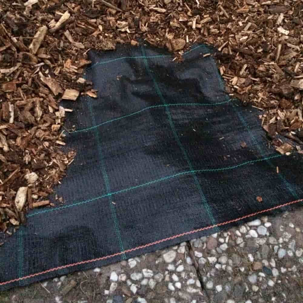 Ground Cover Fabric 100g/m²-2