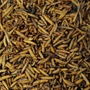 Black soldier fly larvae 5kg, whole dried Hermetia illucens-0