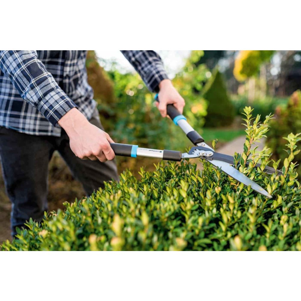 Simple Hedge Shears IDEAL-0