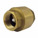 Check valve with spring 3/4" inch