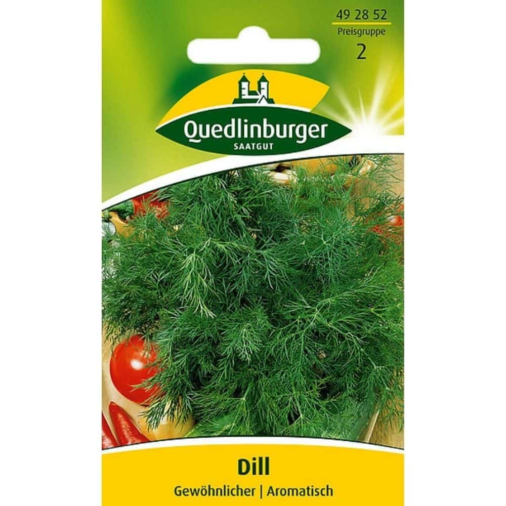 Dill, Common