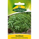 Finely Leafed Green Basil