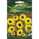 Dwarf Sunflowers, Ballad F1