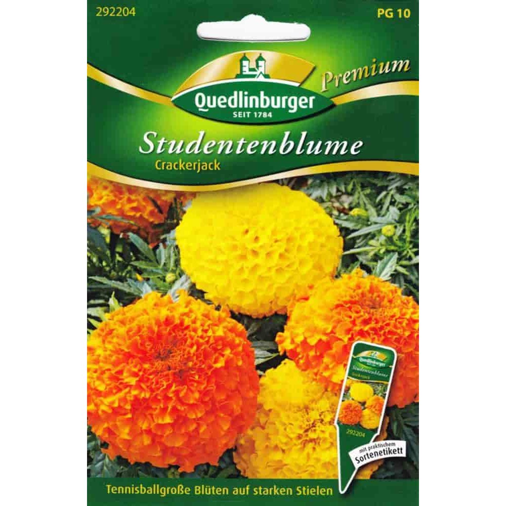 Marigolds, Crackerjack