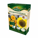 Dwarf Sunflowers Cultivation Set