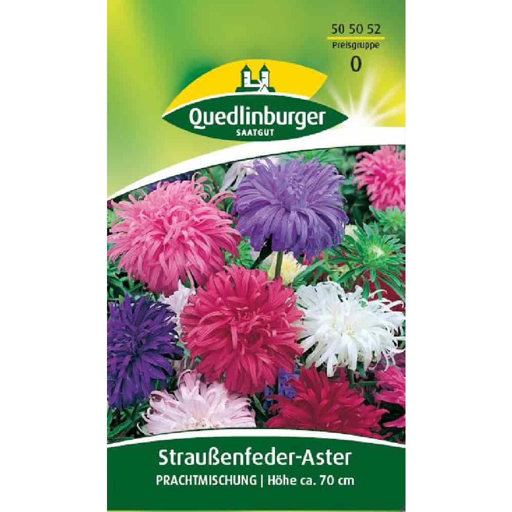 Ostrich Feather Aster, Mix.