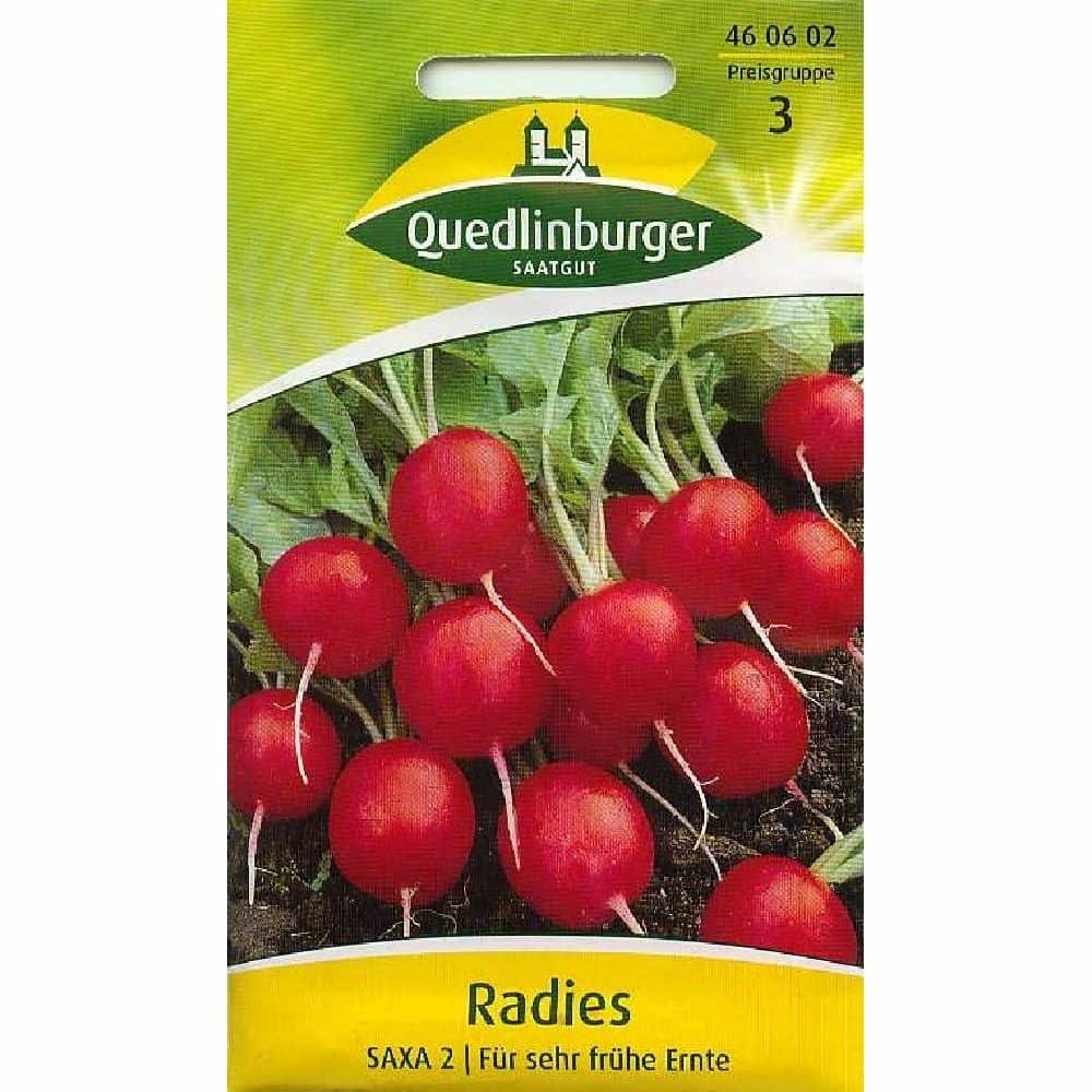 Radish, Saxa 2