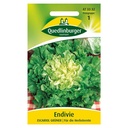 Endive, Green Escarole