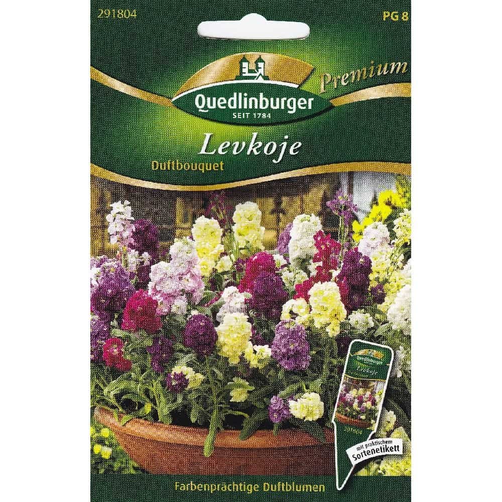 Levkojen, Fragrance Bouquet