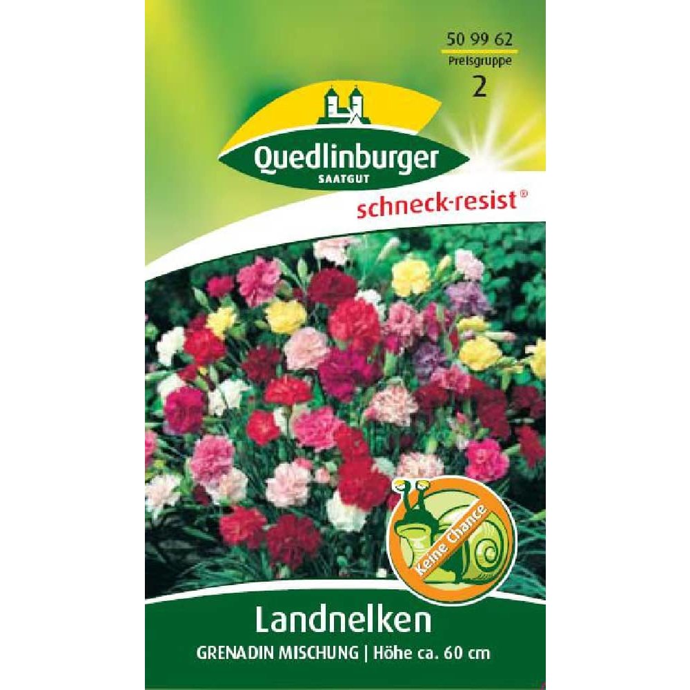 Country Carnation Grenadine Mixed