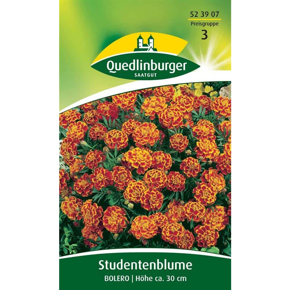 Marigold, Bolero