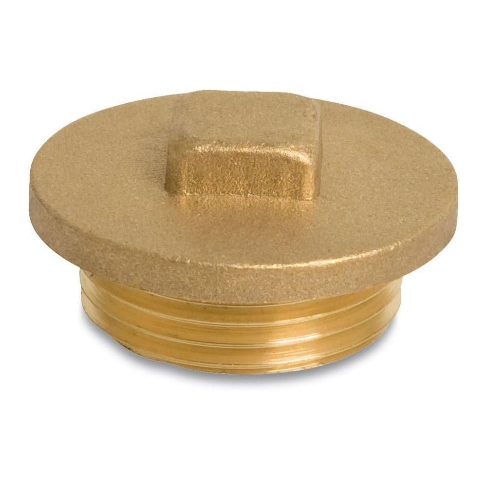 Threaded Fitting Brass Plug 2" Male