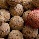 Premium Suet Balls with Insects 200 x approx. 90 grams with Net