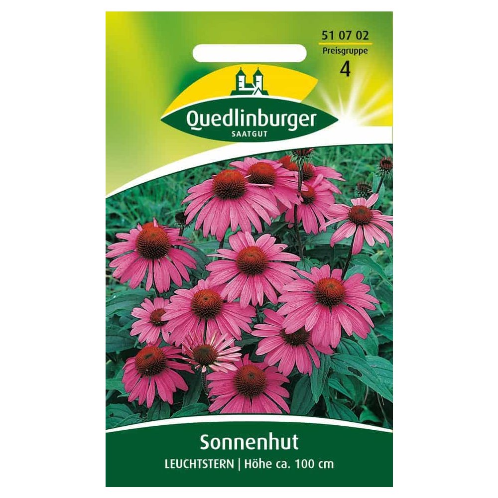 Coneflower, Bright Star