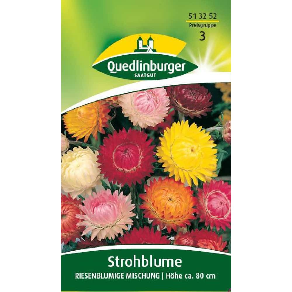 Strawflower, Giant Flowering Mix