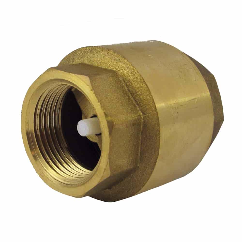 Check Valve with Spring 3/4" Inch