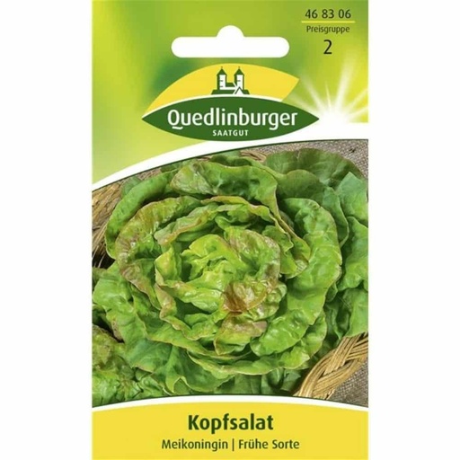 [BONI-468306] Lettuce, Maikönig