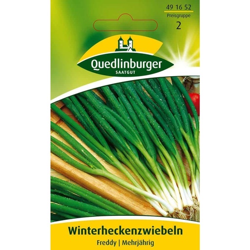 [BONI-491652] Onion, Winter Leek Freddy