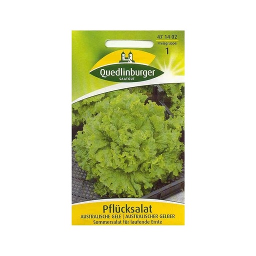 [BONI-471402] Loose-leaf lettuce, Australian Yellow