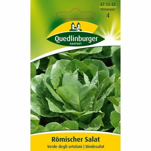 [BONI-471542] Roman Lettuce, Green of the Gardeners