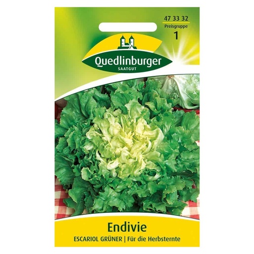 [BONI-473332] Endive, Green Escarole